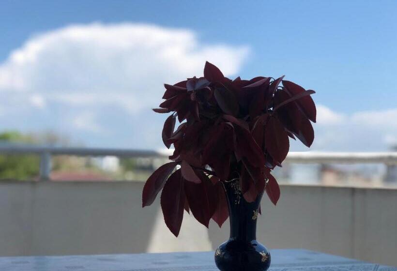 اتاق استاندارد, Guest House Green Garden