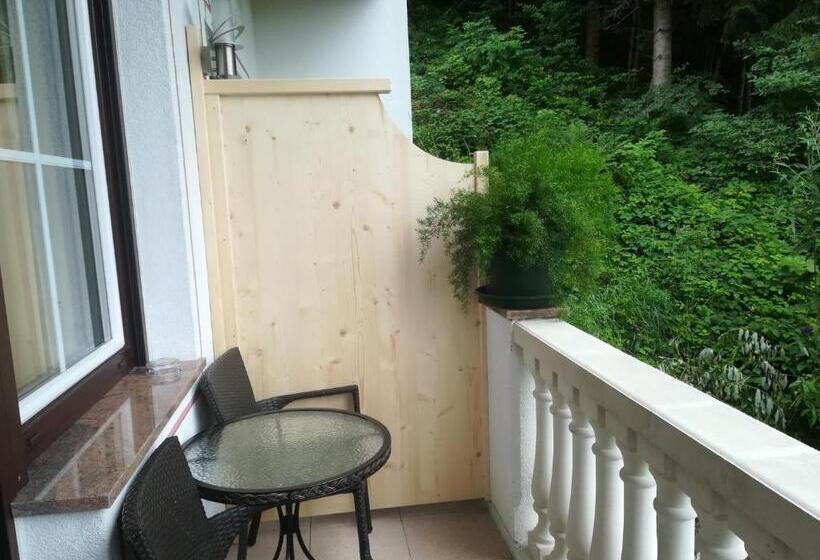 Номер Стандарт, Aparthotel Gallahaus