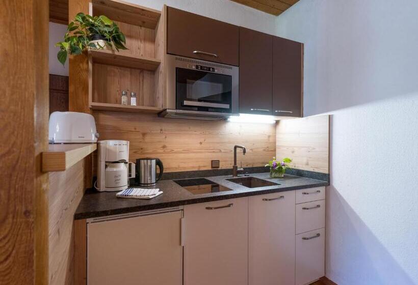 דירת שני חדרים, Aparthotel Gallahaus