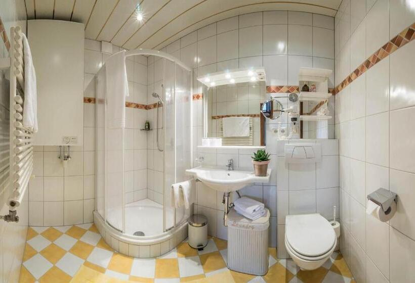 דירת שני חדרים, Aparthotel Gallahaus