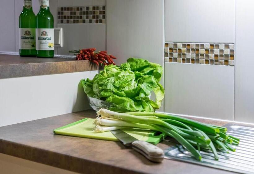 דירת שני חדרים, Aparthotel Gallahaus