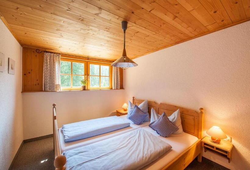 آپارتمان 1 خوابه, Zugspitzhotel Diana Thörle