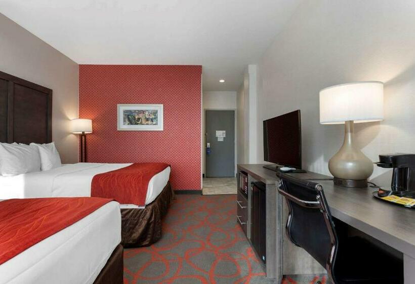 标准间, Comfort Inn & Suites Near Stadium