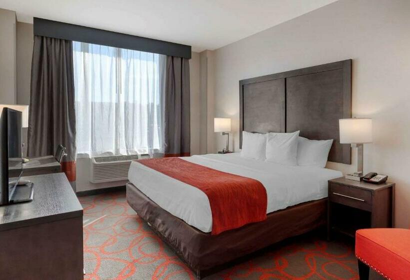 带大床的标准间, Comfort Inn & Suites Near Stadium