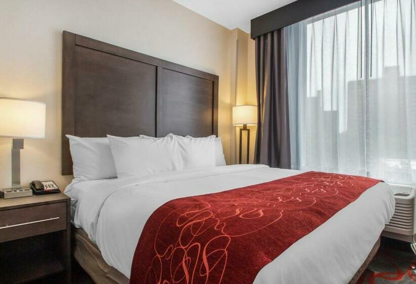 带大床的标准间, Comfort Inn & Suites Near Stadium