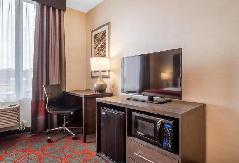 适合残疾人使用的标准间, Comfort Inn & Suites Near Stadium