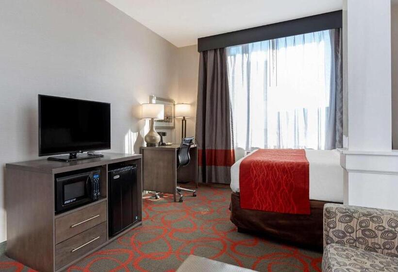 带大床的套房, Comfort Inn & Suites Near Stadium