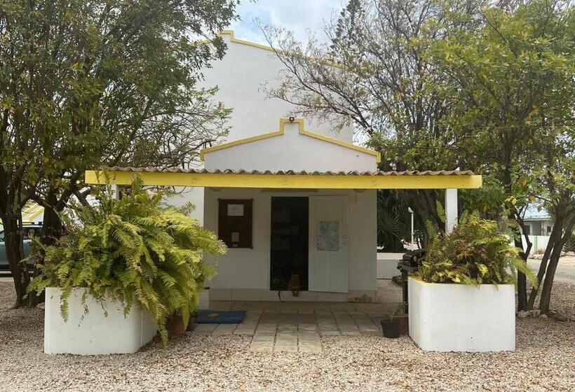 آپارتمان 1 خوابه با چشم‌انداز دریا, Diver's Paradise Bonaire