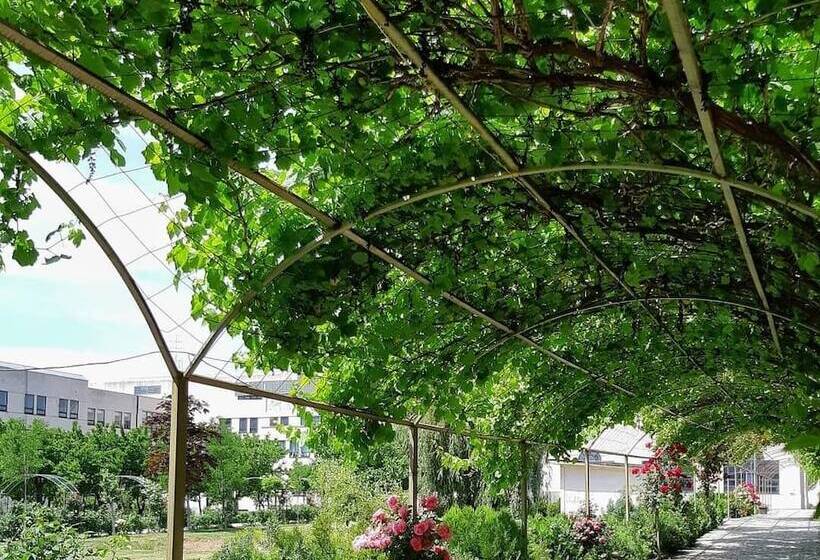 خانه 1 خوابه, Cross Resort