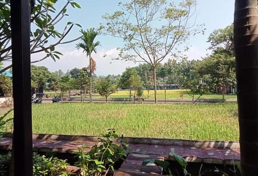 Номер Basic, Aries Biru Resort