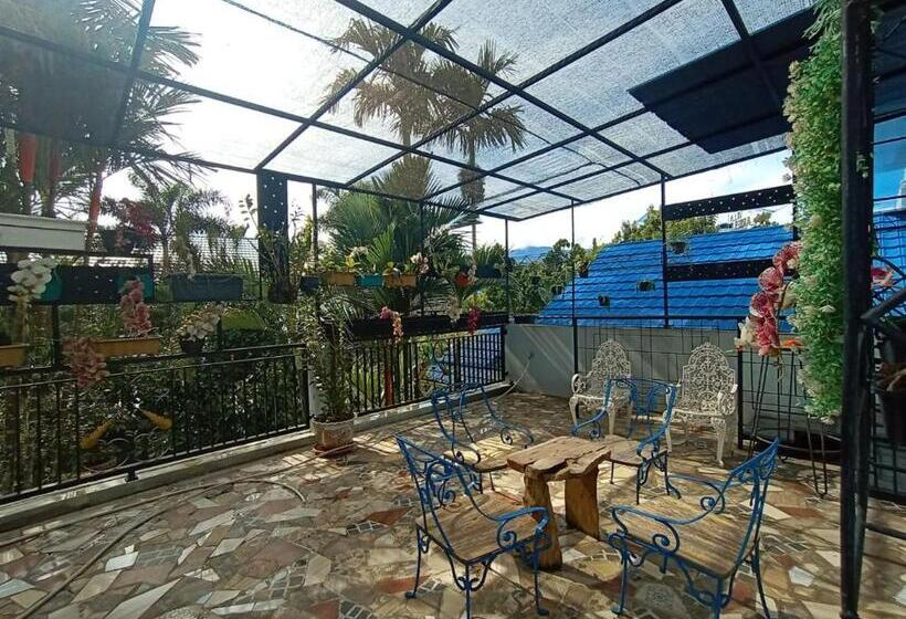 Люкс, Aries Biru Resort