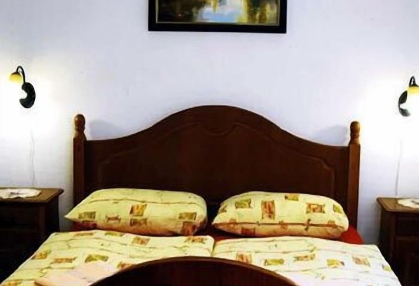 Номер Стандарт, Sarokhaz Panzio
