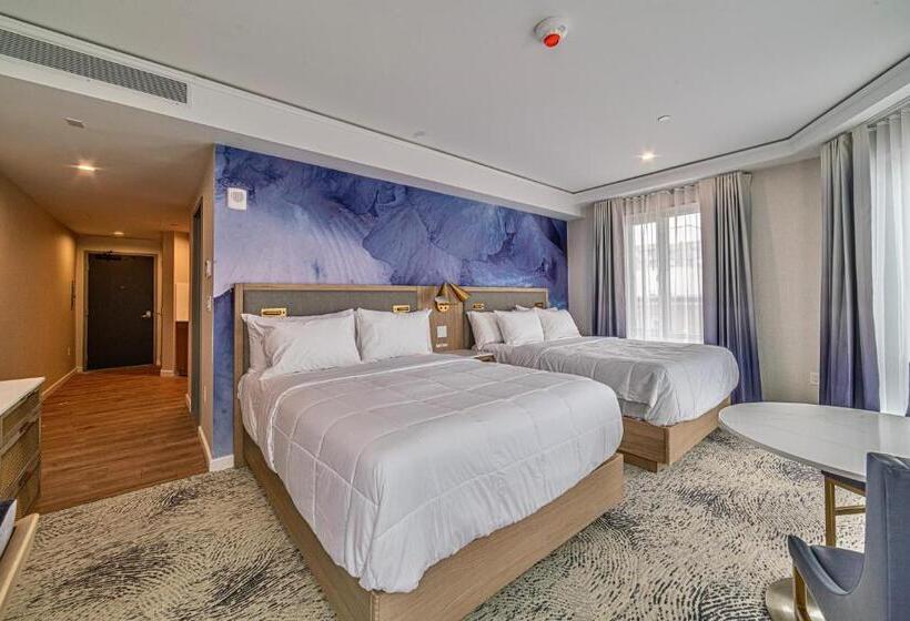デラックススタジオ, Iris Hotel Boston