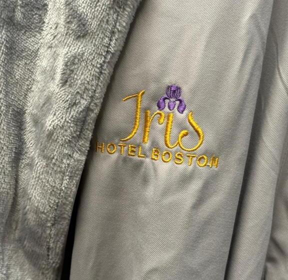 キングサイズベッドのデラックスルーム, Iris Hotel Boston