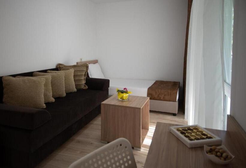 Quarto Familiar, Ariana