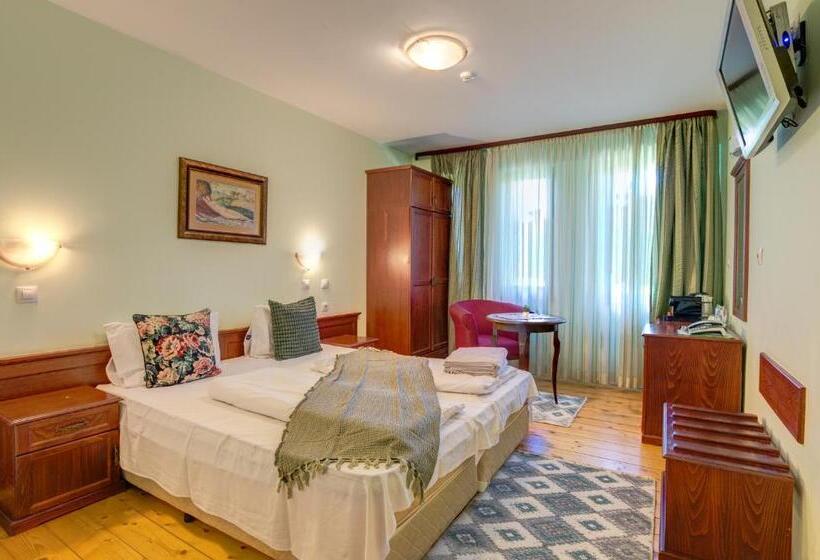 Номер Стандарт Индивидуальный, Rachev Hotel Residence