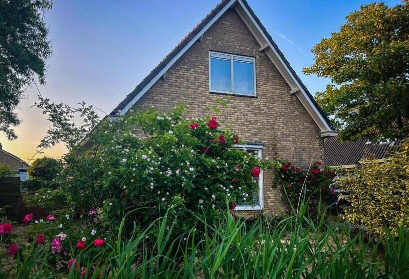Номер Стандарт, Bed And Relax Terschelling