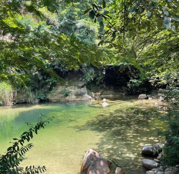 Номер Стандарт, Rancho La Critalina