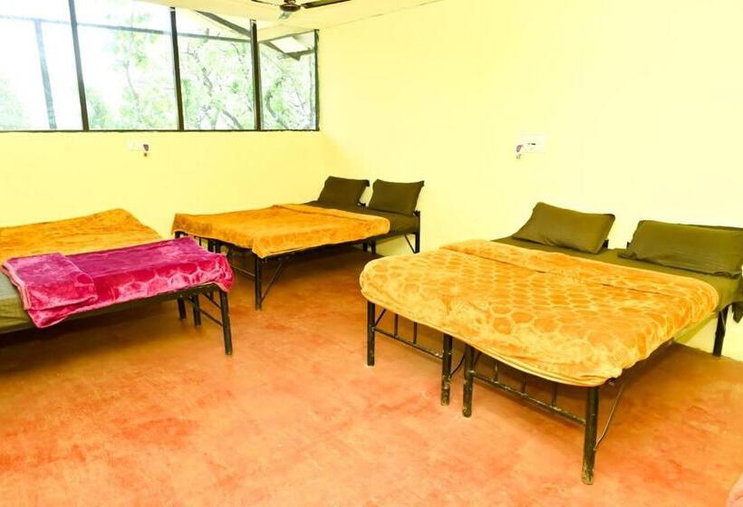 家庭间, Jungle Adventure Homestay