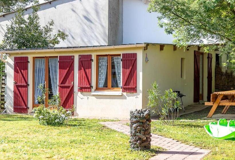 Номер Стандарт, Chambre Sous Les Mimosas 2kms Plage