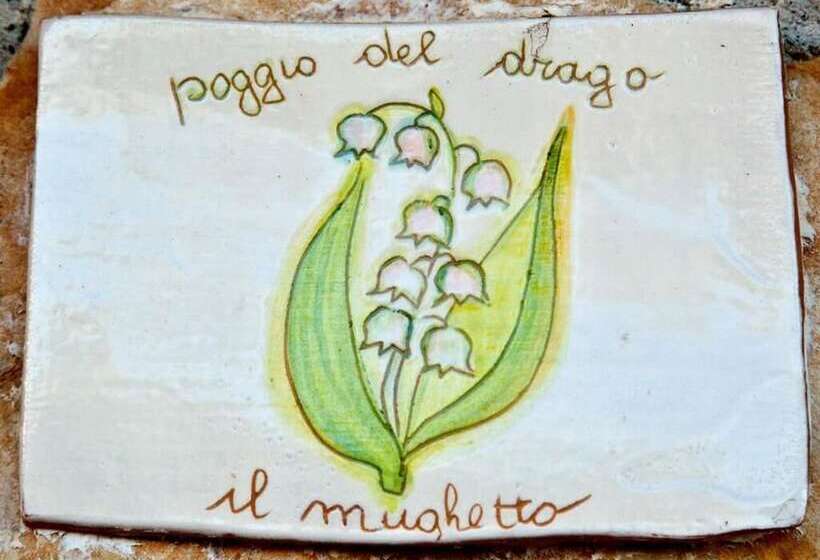 Номер Стандарт, Agriturismo Poggio Del Drago