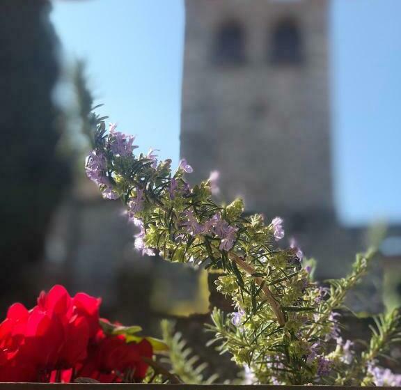 سوئیت جونیور با چشم‌انداز, The Tower Of The Old King