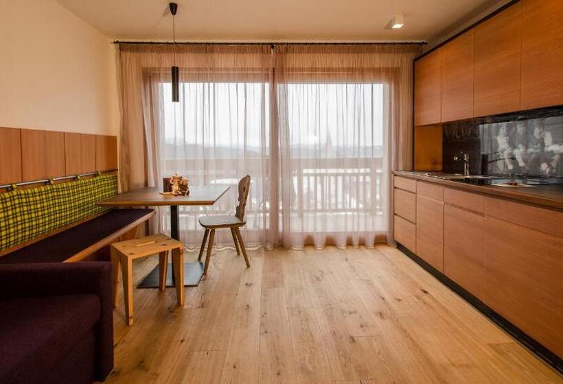آپارتمان 1 خوابه با بالکن, Pension Haus Tirol