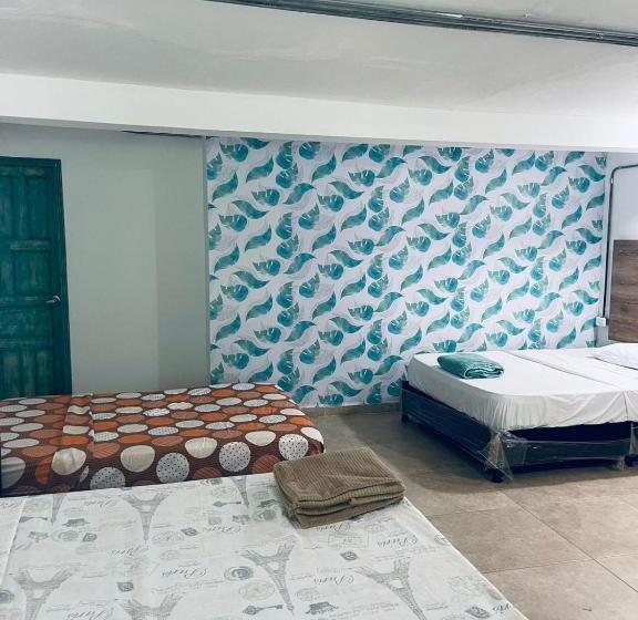 Quarto Triplo Estandar, Tierra Nueva Campestre