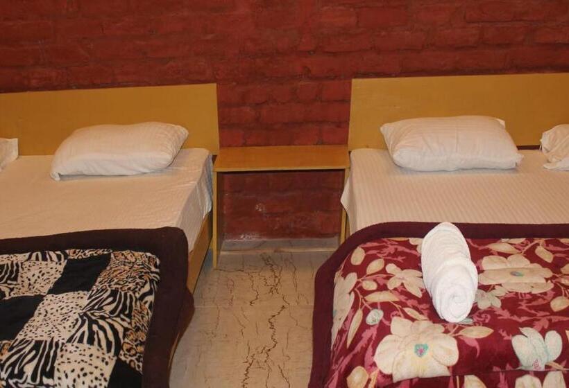 스탠다드 룸, Corbett Safari Room & Adventure