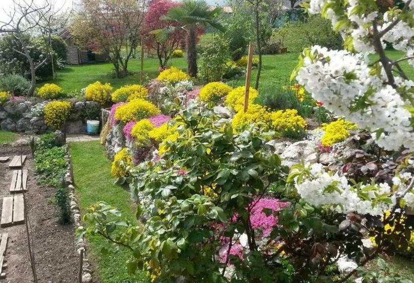 Номер Стандарт Вид на Сад, B&b La Betulla