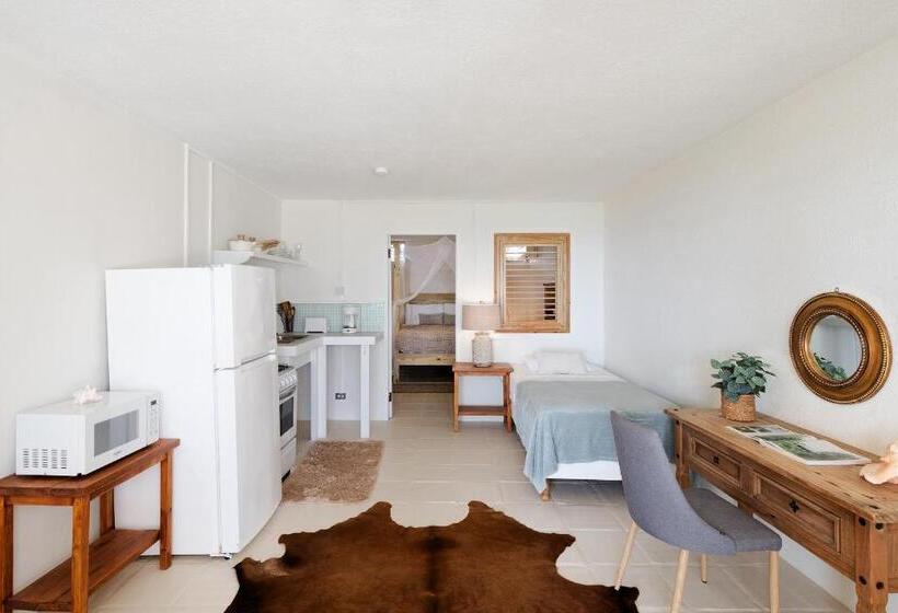 سوییت جونیور با چشم‌انداز دریا, Surfers Bay Resort