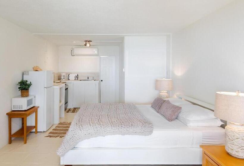 استودیوی استاندارد با چشم‌انداز دریا, Surfers Bay Resort
