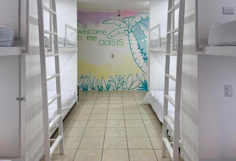 سرير فى غرفة مشتركه, Sjo Oasis Hostel