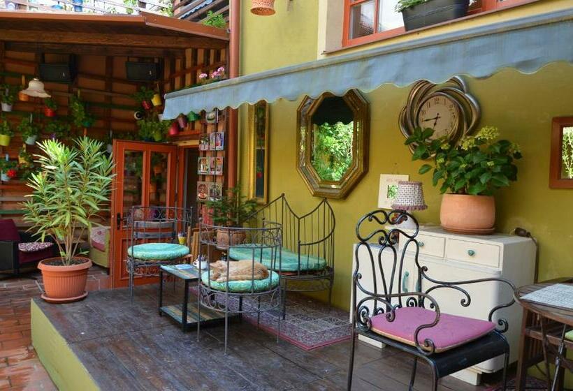 اتاق استاندارد, Muzikafe   Home Of Culture