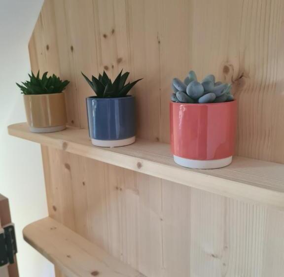 سوییت اجرایی, Eco Boutique Hotel Ams Beagle