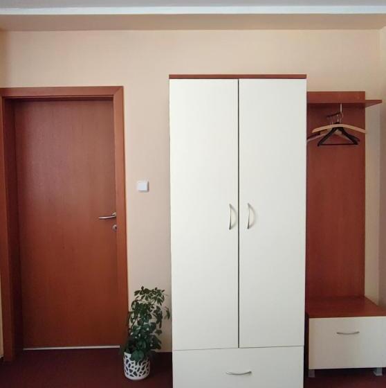 اتاق استاندارد یک نفره, 21