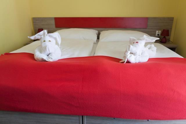 スタンダードルーム, F   Team