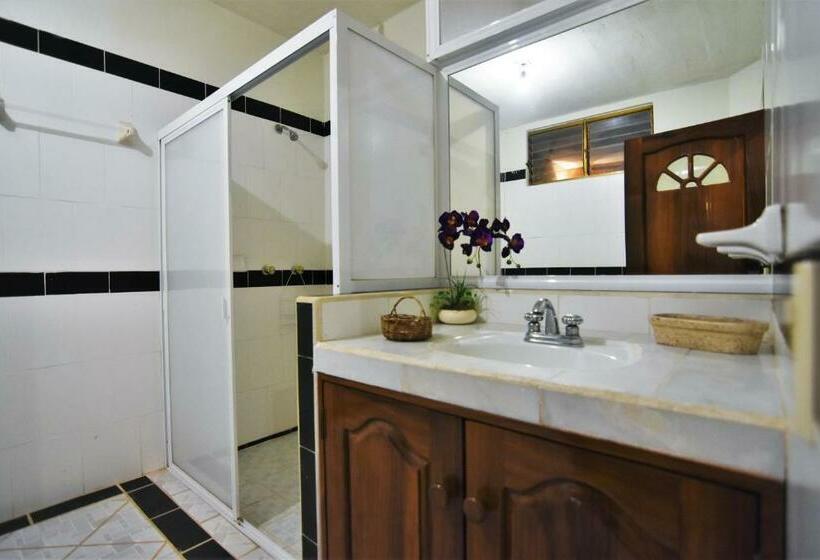 Quarto Familiar, Don Miguel Plaza