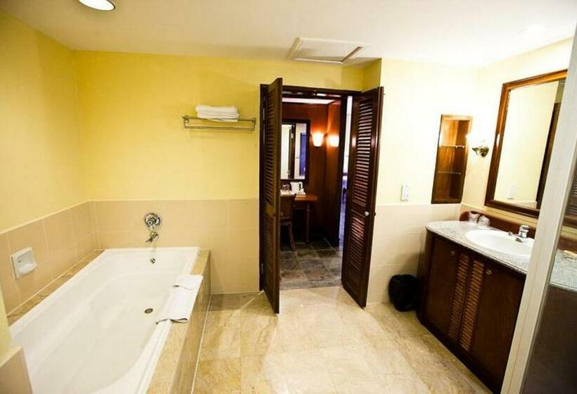 Номер Deluxe Вид на Сад, Palm Beach Resort & Spa