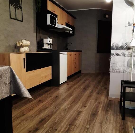 带1个卧室的豪华公寓, Family Apartments
