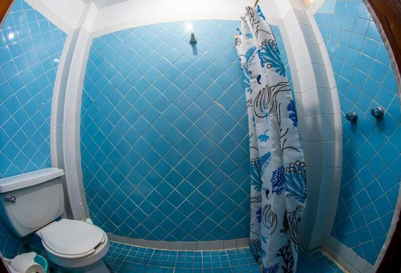 2 Yatak Odalı Daire, Delfin