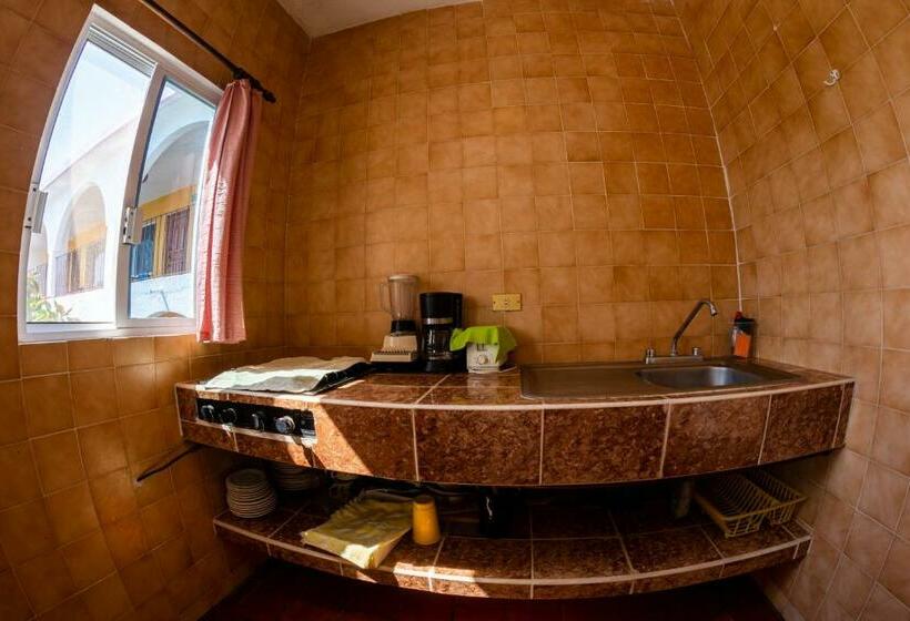 Apartamento 2 Dormitórios, Delfin