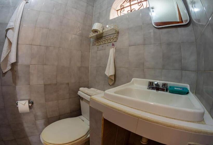 Quarto Familiar, Delfin