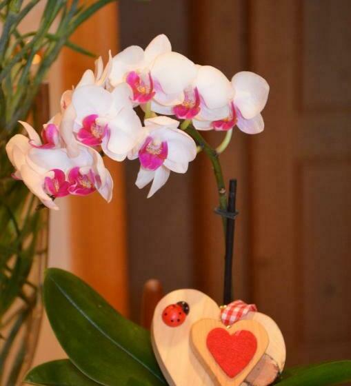 Standard-huone, Garni Franca B&b