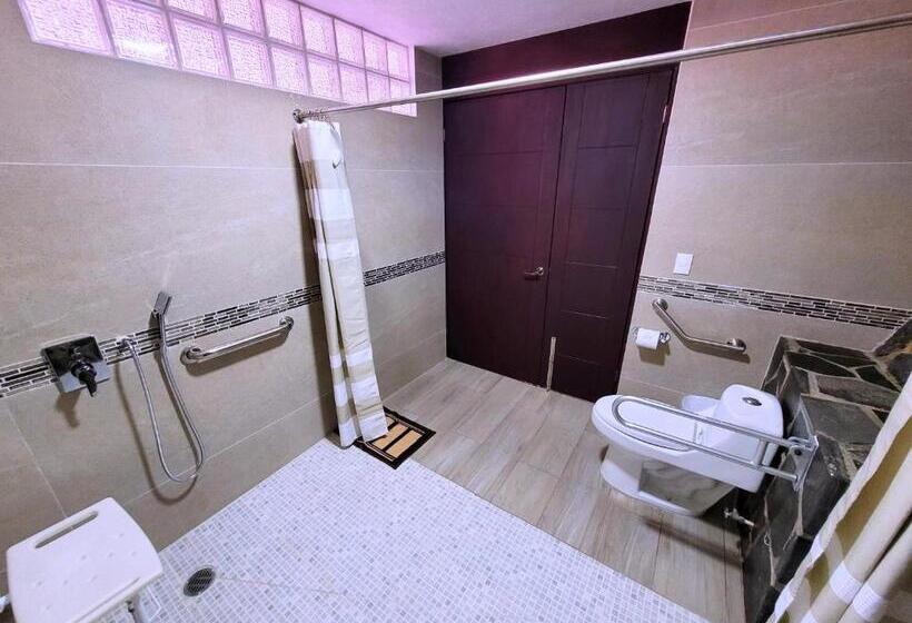 Quarto Estandar para Deficientes Físicos, Tierras Blancas