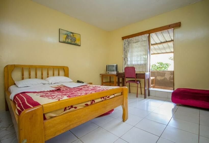 Standard Single Room, Diplomate