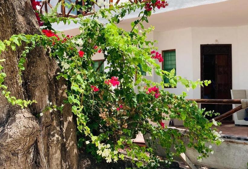 חדר דלוקס נוף לים, Kaure Sand Beach Lodge