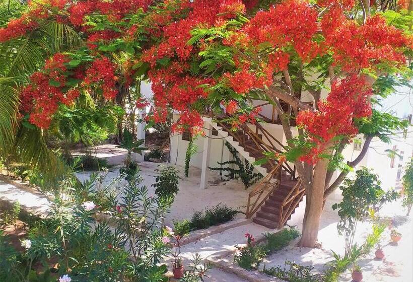 اتاق استاندارد با تخت بزرگ, Kaure Sand Beach Lodge