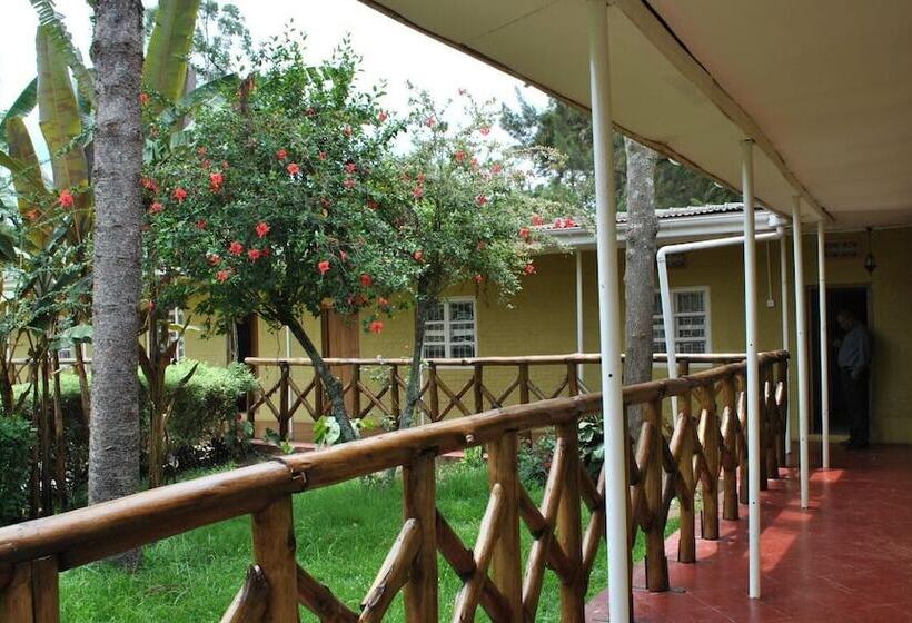 اتاق استاندارد یک نفره, Little Woods Inn