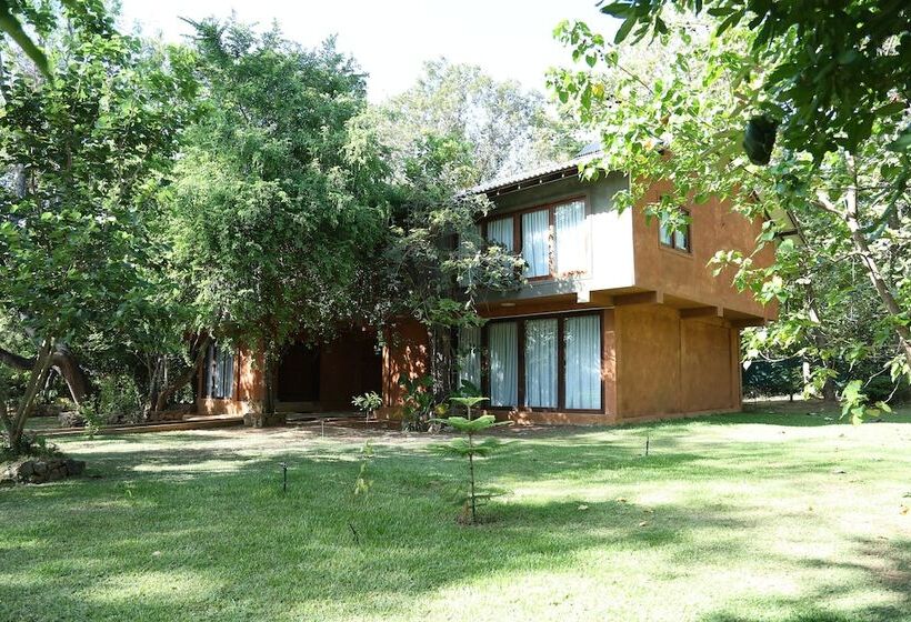 Family Suite, Pinthaliya Resort